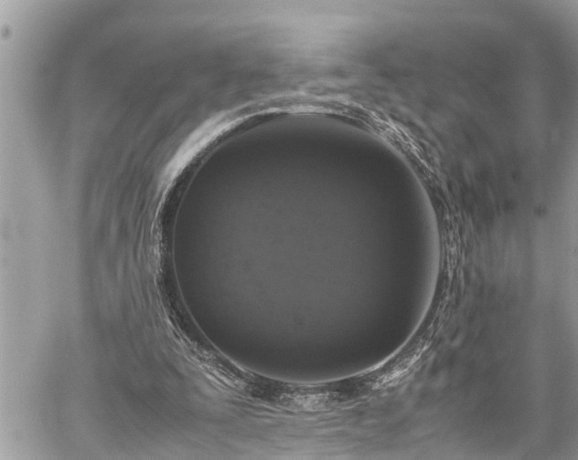 X0000060260295200511010920