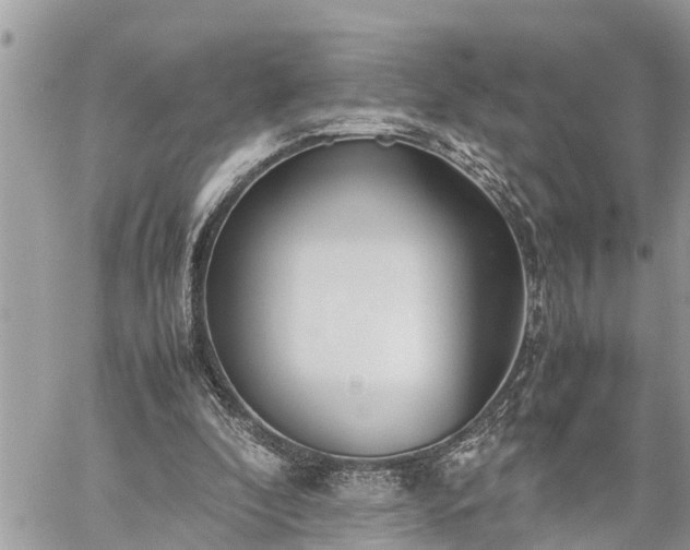 X0000060260296200511010920