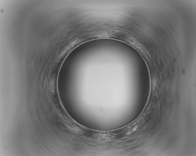 X0000060260297200511010920