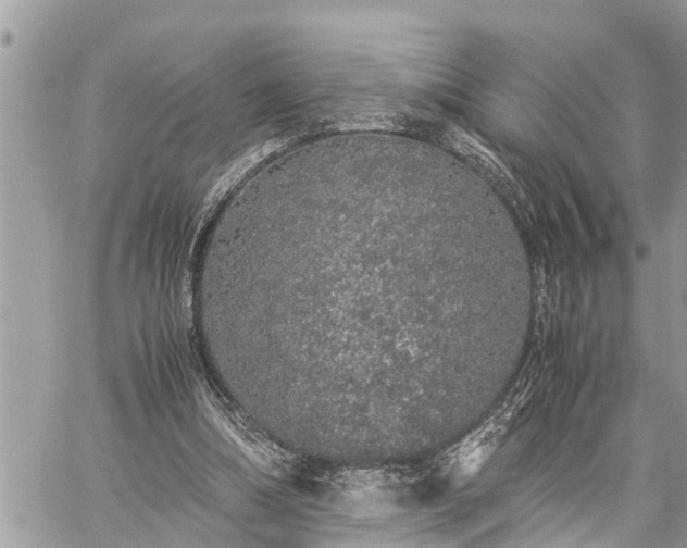 X0000060260298200511010920