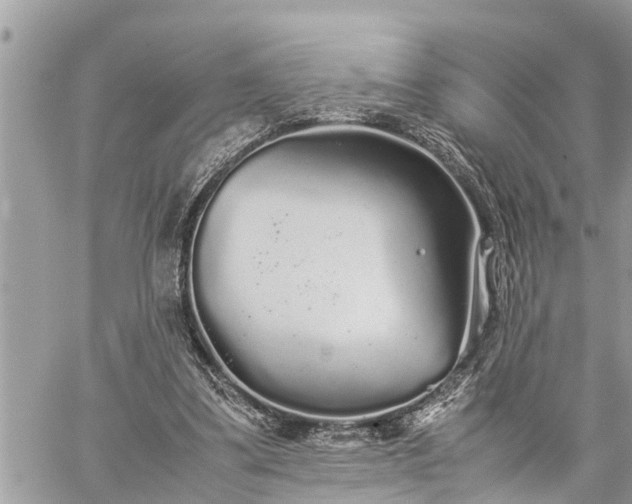 X0000060260299200511010920