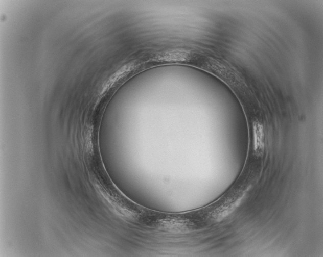 X0000060260300200511010920