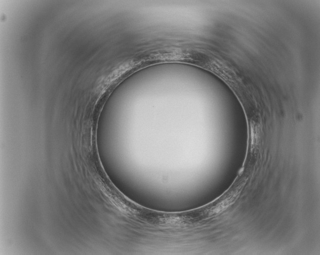 X0000060260301200511010920