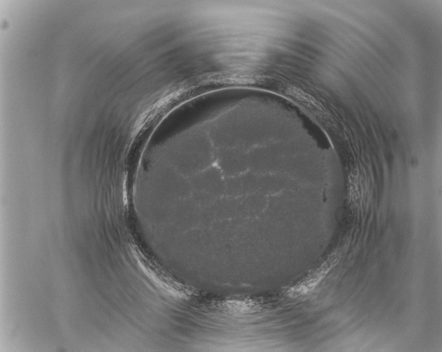 X0000060260302200511010920