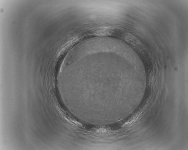 X0000060260303200511010920