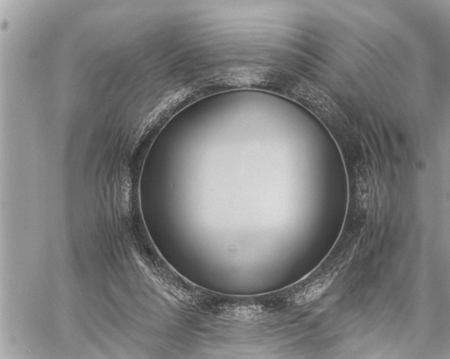 X0000060260304200511010920