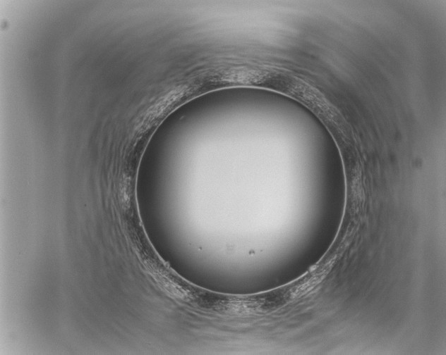 X0000060260305200511010920