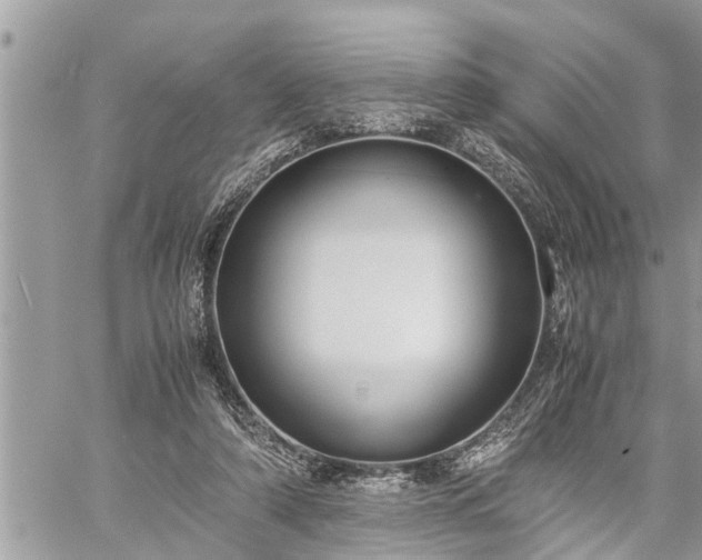 X0000060260306200511010920