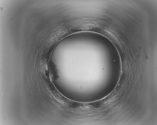 X0000060260307200511010920