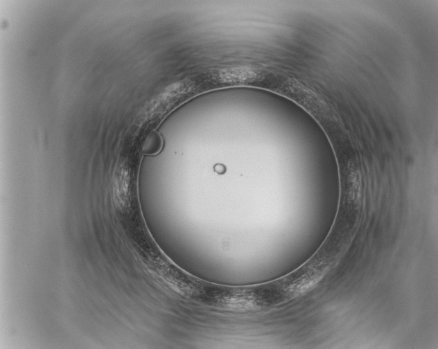 X0000060260308200511010920