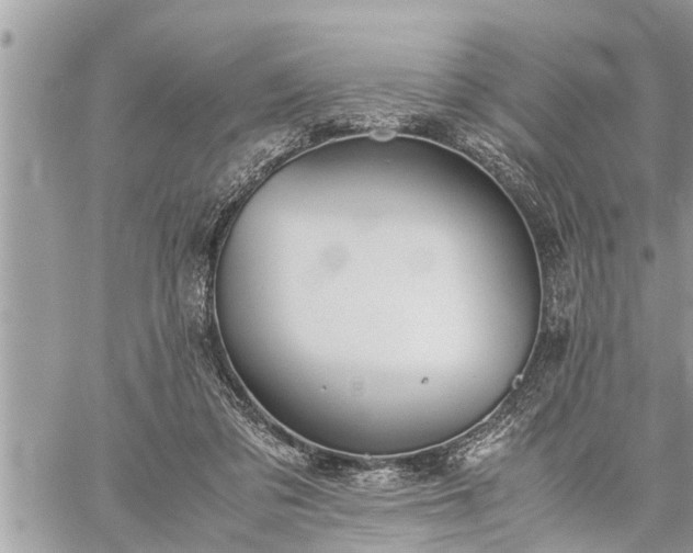 X0000060260309200511010920