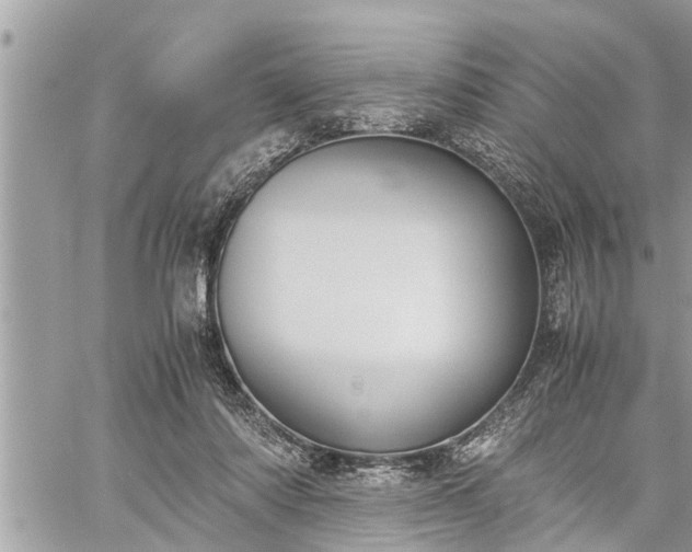 X0000060260310200511010920