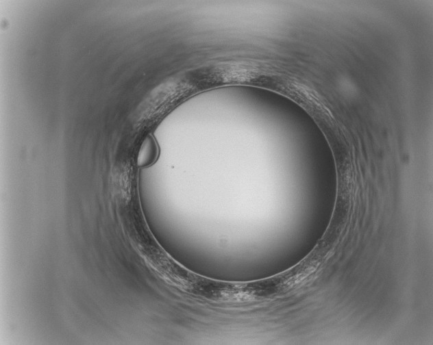 X0000060260311200511010920