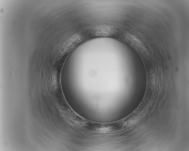 X0000060260312200511010920