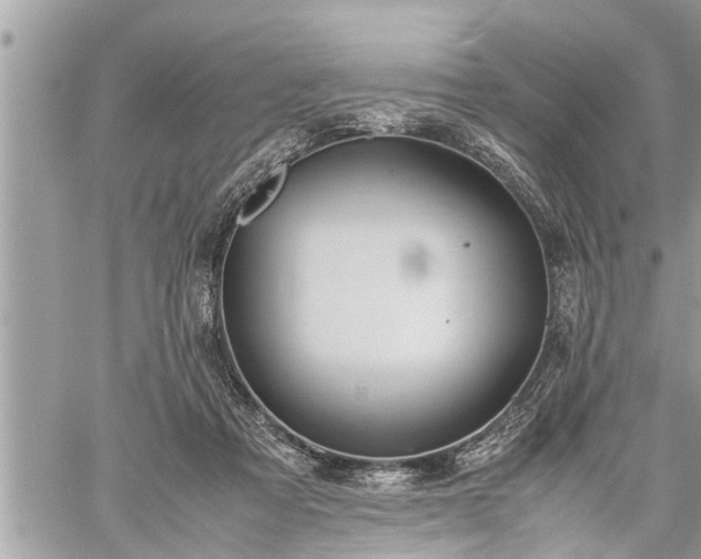 X0000060260313200511010920