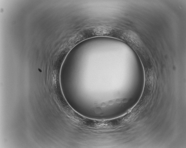 X0000060260315200511010920