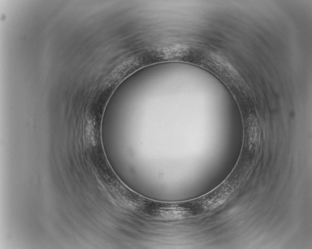 X0000060260316200511010920