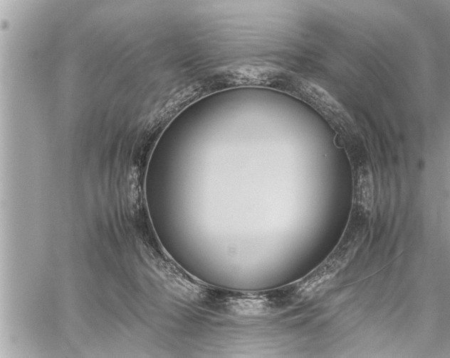 X0000060260318200511010919