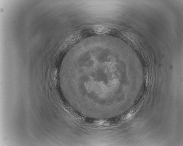 X0000060260319200511010919