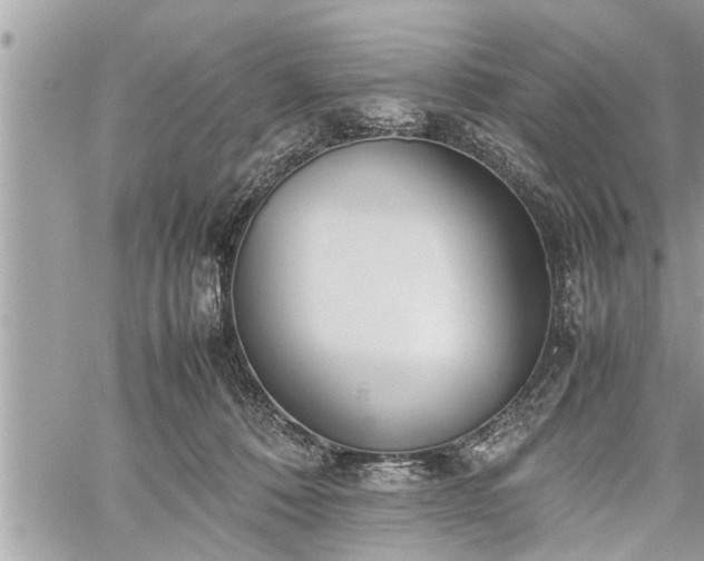 X0000060260320200511010919