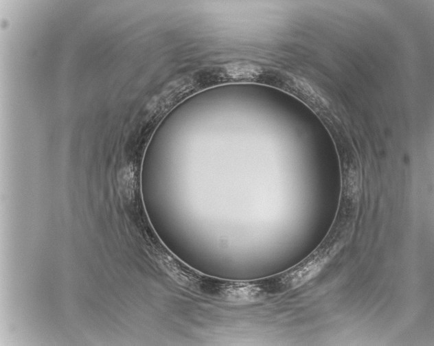 X0000060260321200511010919