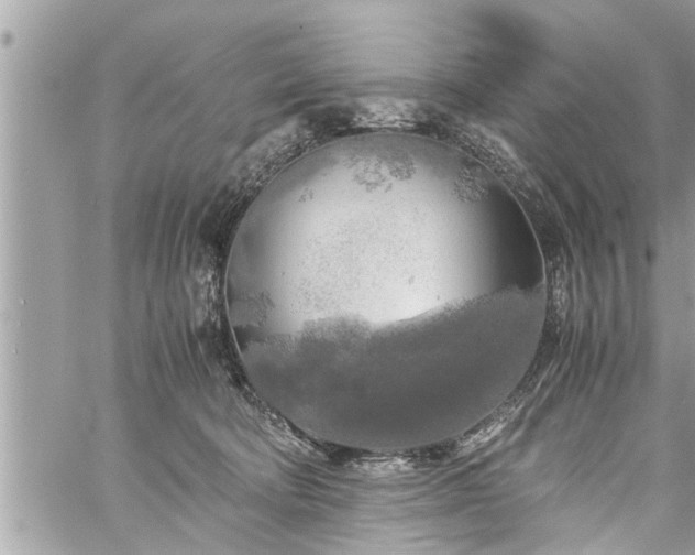 X0000060260322200511010919