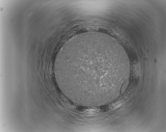 X0000060260323200511010919