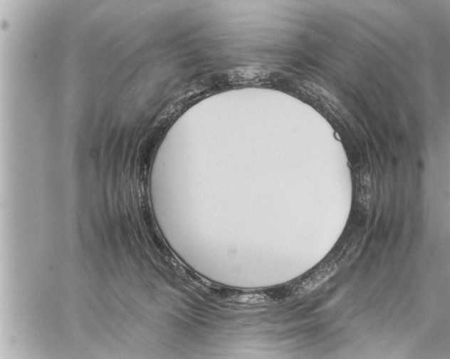 X0000060260324200511010919