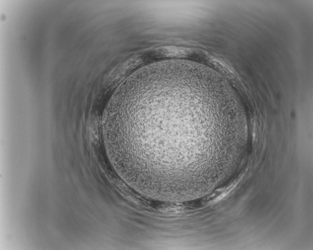 X0000060260325200511010919