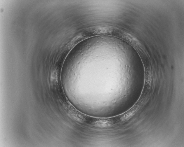 X0000060260326200511010919