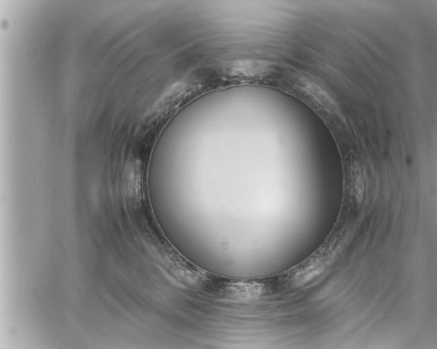 X0000060260328200511010919