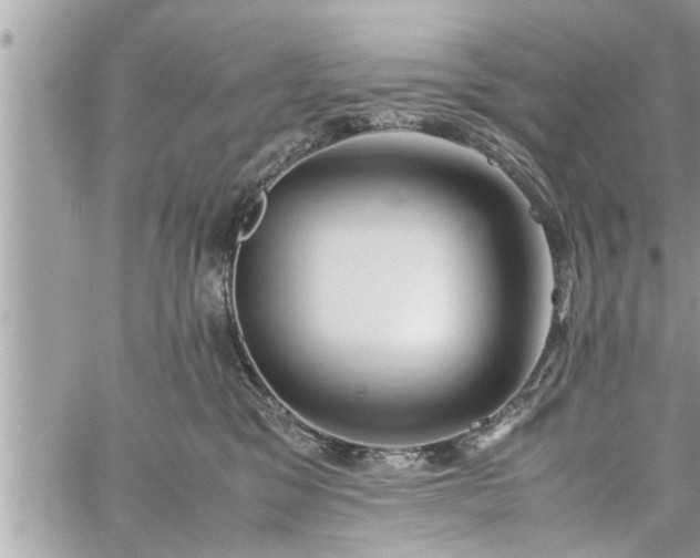 X0000060260329200511010919