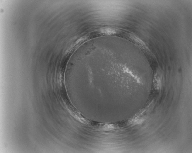 X0000060260330200511010919