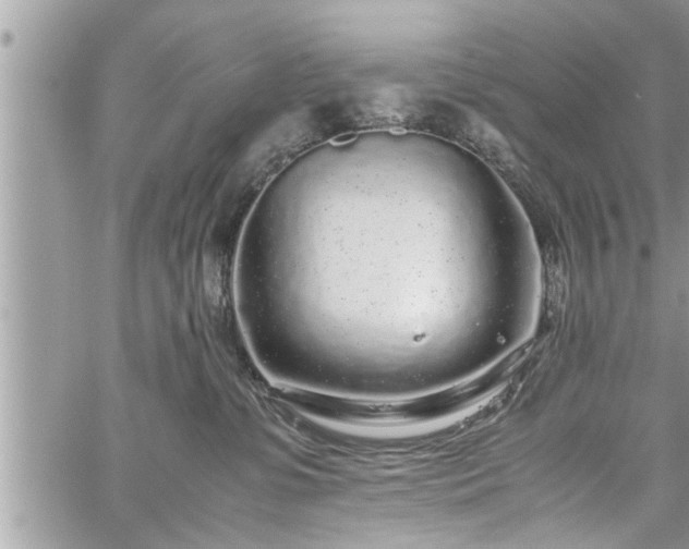 X0000060260331200511010919