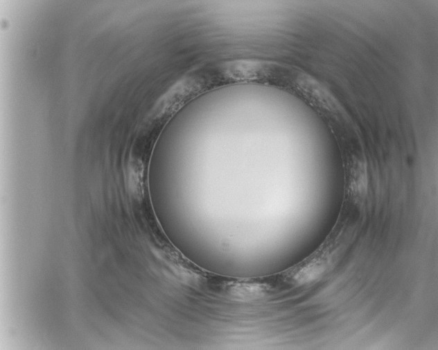 X0000060260332200511010919