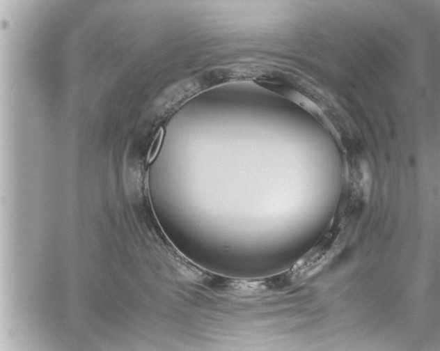 X0000060260333200511010919