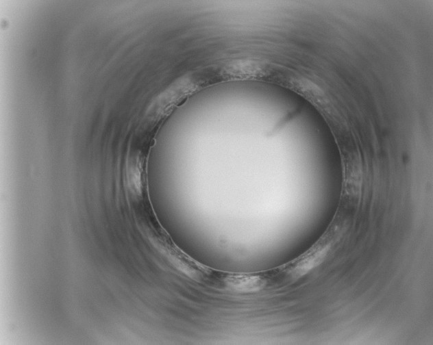 X0000060260334200511010919