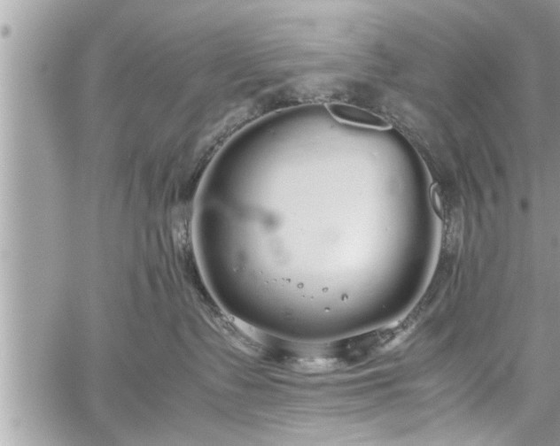 X0000060260335200511010919