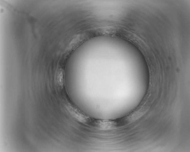 X0000060260336200511010919