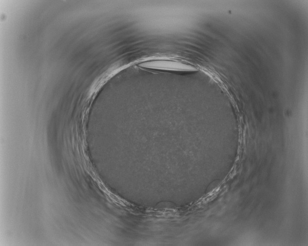 X0000060260337200511010918