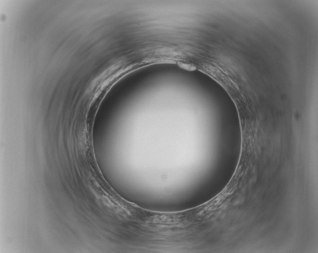 X0000060260338200511010918