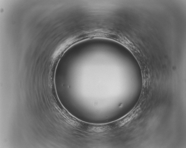 X0000060260341200511010918