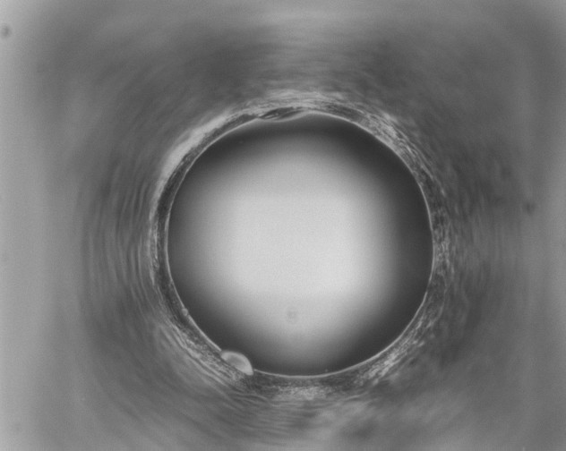 X0000060260342200511010918