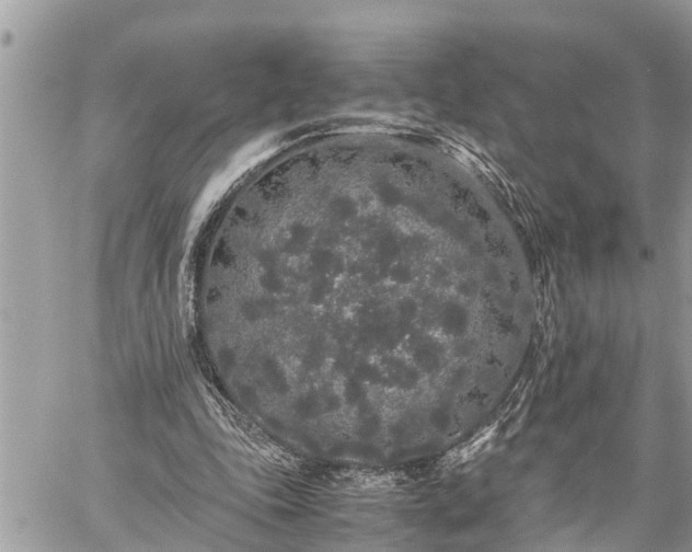 X0000060260343200511010918