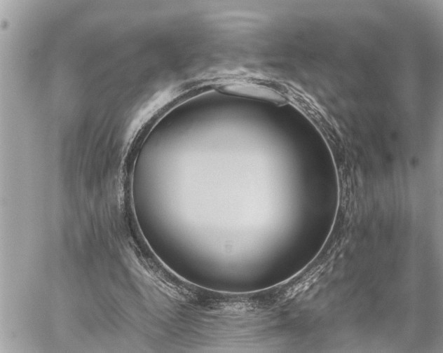 X0000060260344200511010918