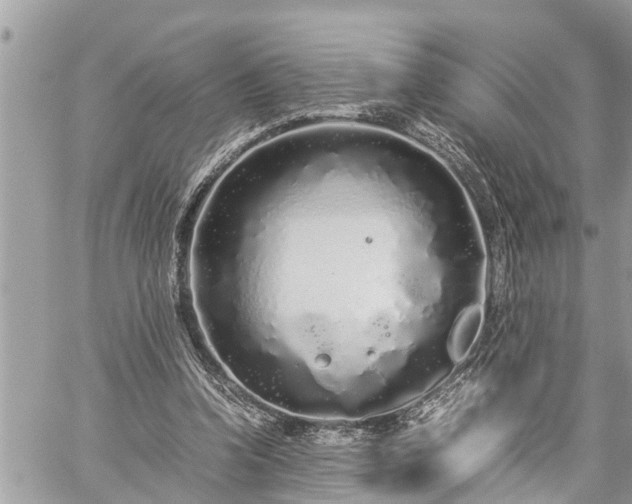 X0000060260346200511010919