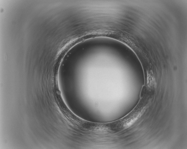 X0000060260348200511010919