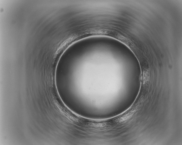 X0000060260349200511010919