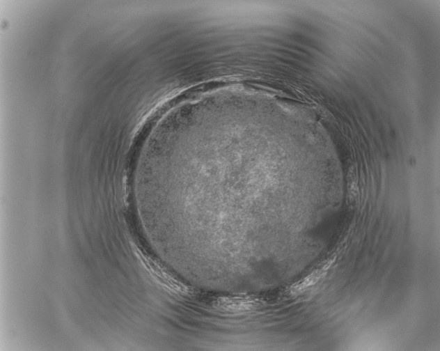 X0000060260351200511010919