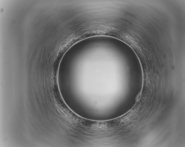 X0000060260354200511010919